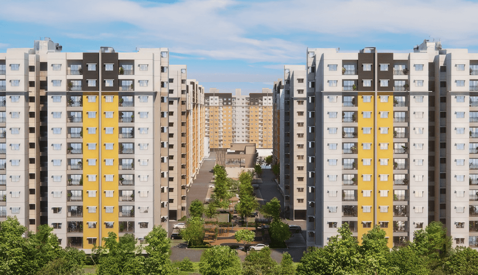 Project Overview